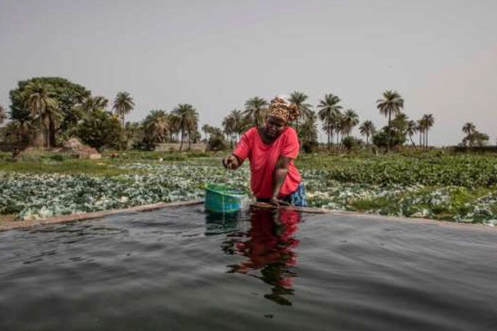 Rapport du Lancet Countdown 2026: Le changement climatique, une urgence sanitaire mondiale