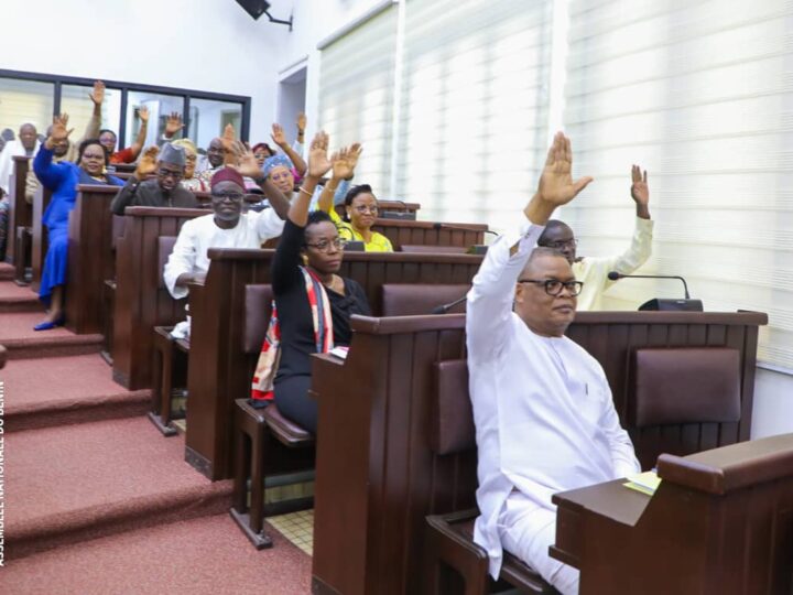 Révision constitutionnelle : L’Assemblée nationale vote la prise en considération
