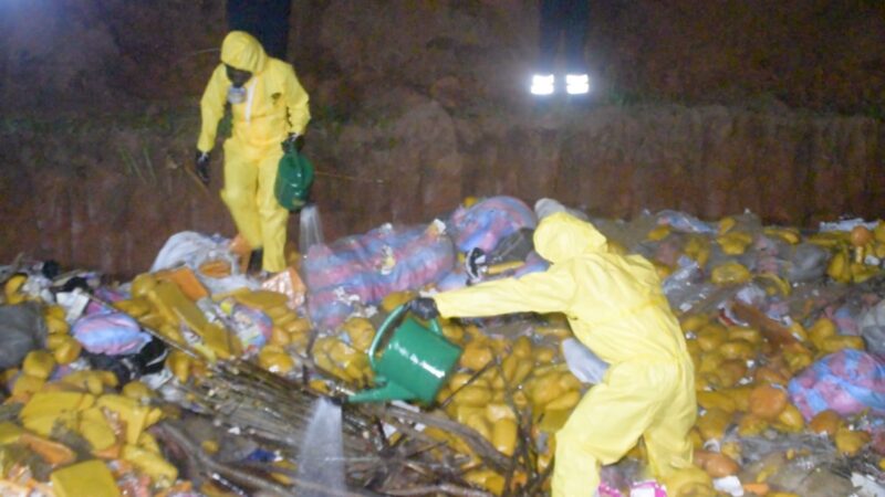Désencombrement des juridictions : Plus de 100 tonnes de stupéfiants détruits
