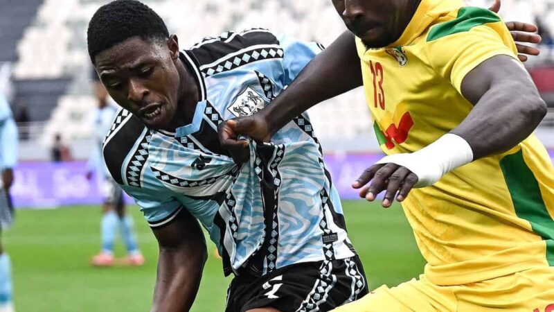 CAN 2025-Groupe D: Le Bénin se relance contre le Botswana grâce à une victoire historique