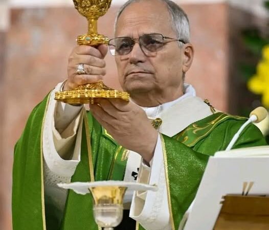 Le pape Léon XIV attendu dans quatre pays d’Afrique, dont un musulman