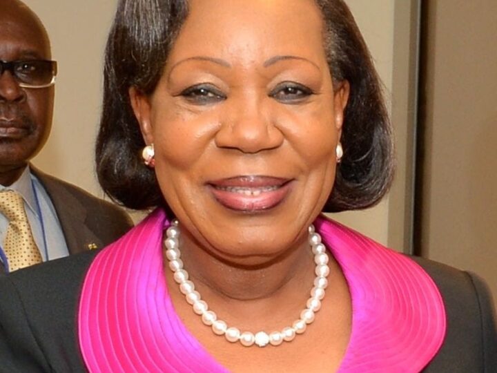 Présidentielle : Le NDI relève « un certain nombre de dérives » au terme de sa mission au Bénin