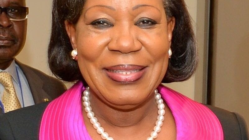 Présidentielle : Le NDI relève « un certain nombre de dérives » au terme de sa mission au Bénin