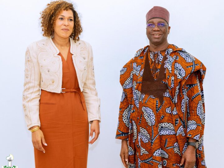 Présidentielle/ Vote de la diaspora en Europe  : L&rsquo;ambassadrice près la France en discute avec la Cena