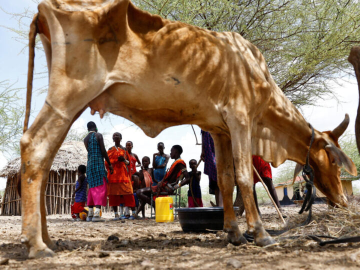 Résilience climatique : A Djerba, le sommet Desertif’actions mobilise contre la sécheresse