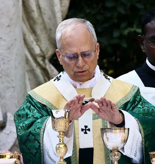 Pape Léon XIV : « Le carême peut tout changer. »