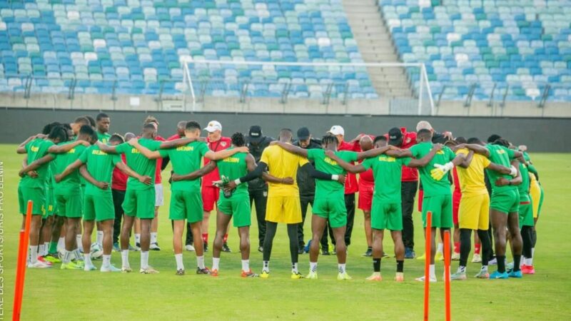 Journées FIFA/ Bénin : Liste des Guépards convoqués par Gernot Rohr
