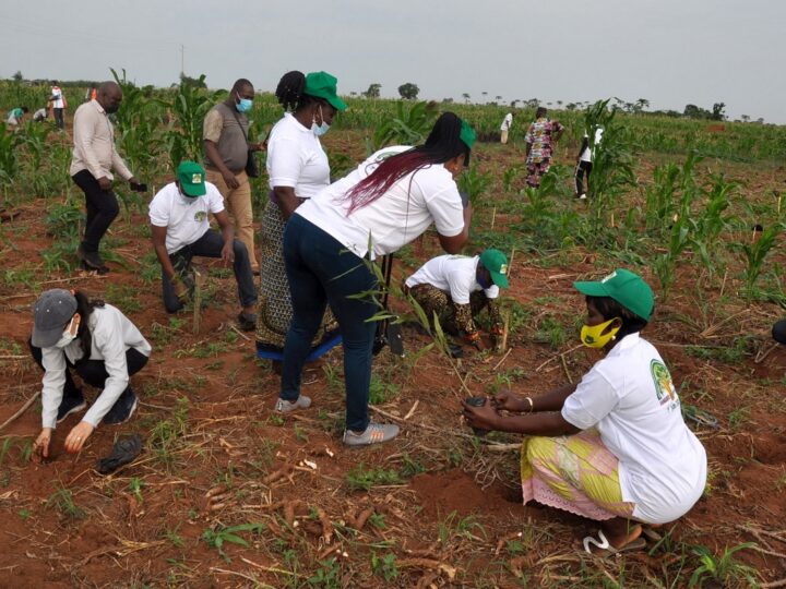 42ᵉ Journée Nationale de l’Arbre : le Bénin lance sa campagne de reboisement 2026-2027 sous le signe de la jeunesse