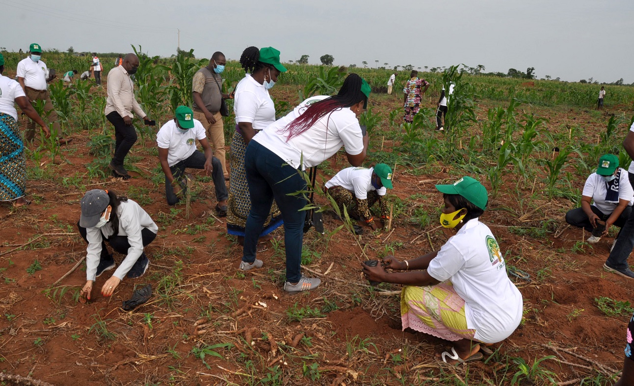 42ᵉ Journée Nationale de l’Arbre : le Bénin lance sa campagne de reboisement 2026-2027 sous le signe de la jeunesse