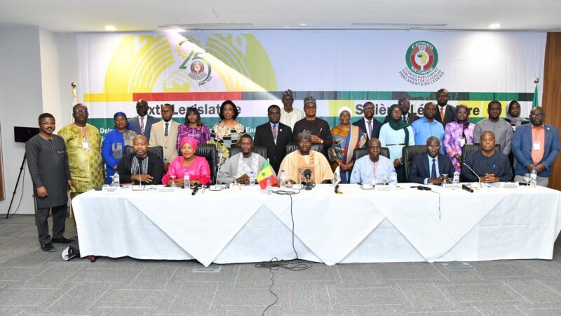 A Dakar, la Cedeao réfléchit à l’électrification rurale et les énergies renouvelables