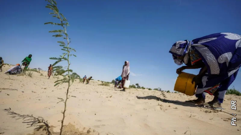 Le Bénin face à l&rsquo;urgence climatique : Pourquoi les alertes de l’Omm concernent le pays