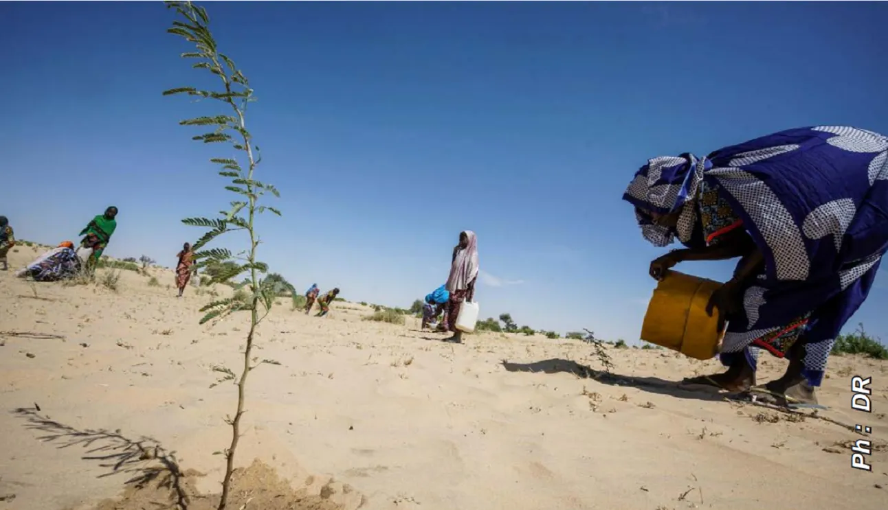 Le Bénin face à l&rsquo;urgence climatique : Pourquoi les alertes de l’Omm concernent le pays