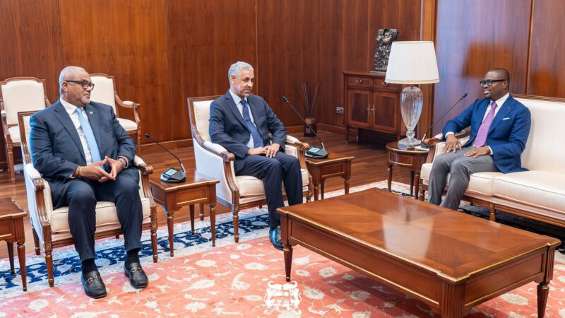 Coopération économique : Romuald Wadagni échange avec Sidi Ould Tah