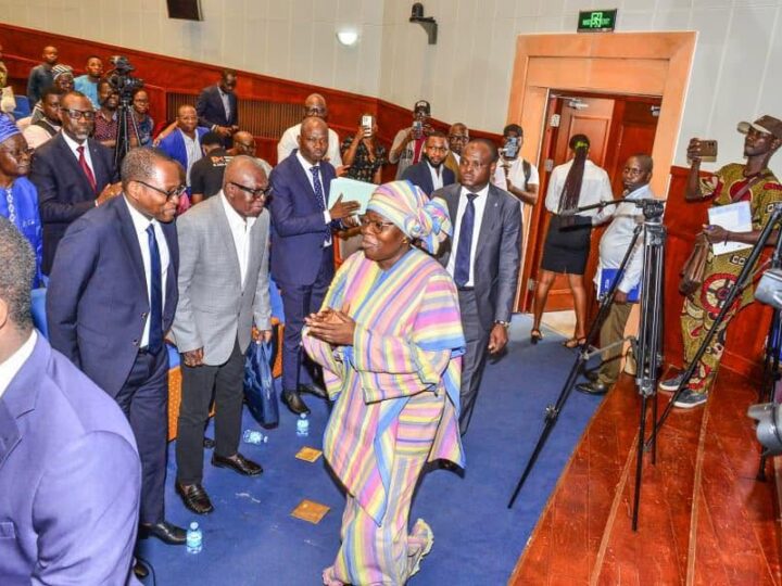 Journée vétérinaire du Bénin : Mariam Chabi Talata souligne l’enjeu de la résilience