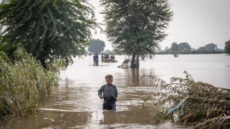 De la sécheresse aux déluges, l’OMM alerte sur le dérèglement du cycle de l’eau