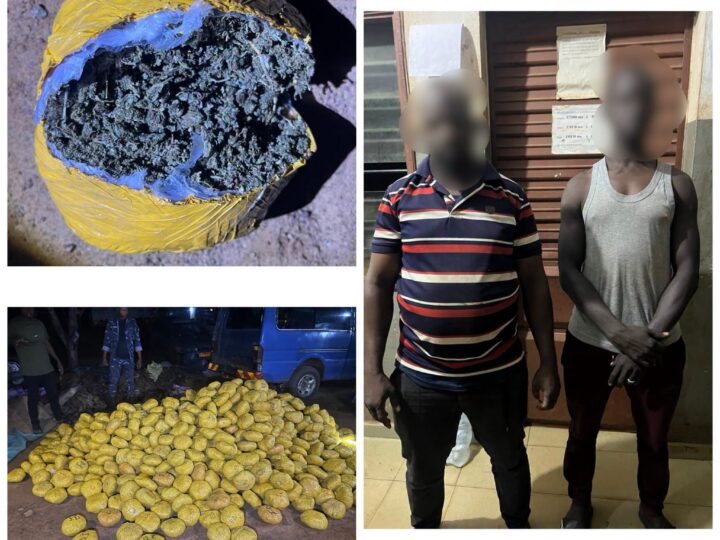 Bantè : 1 031 boules de chanvre indien saisies, deux convoyeurs arrêtés
