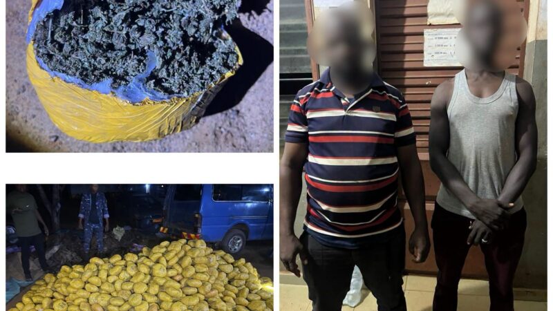 Bantè : 1 031 boules de chanvre indien saisies, deux convoyeurs arrêtés