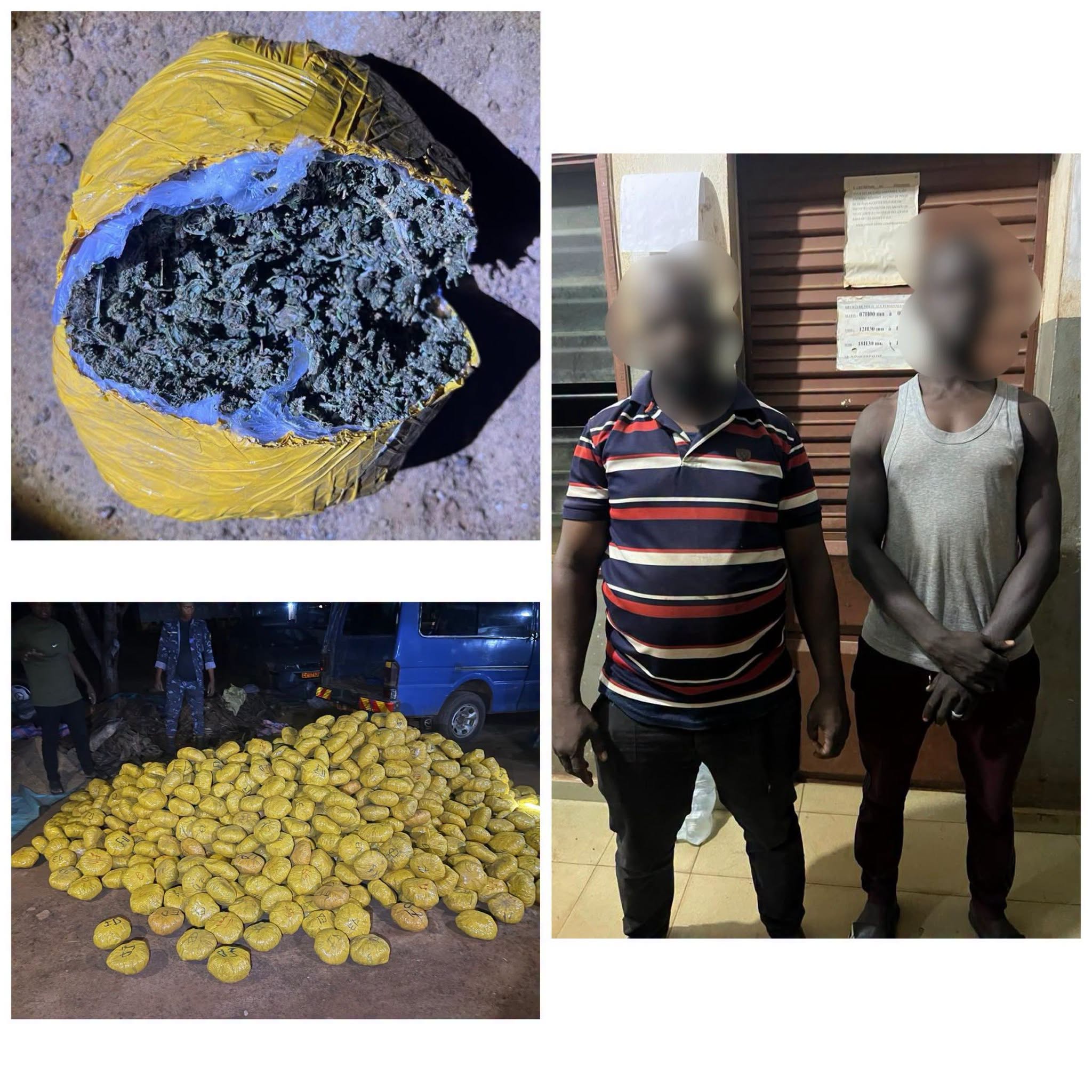 Bantè : 1 031 boules de chanvre indien saisies, deux convoyeurs arrêtés