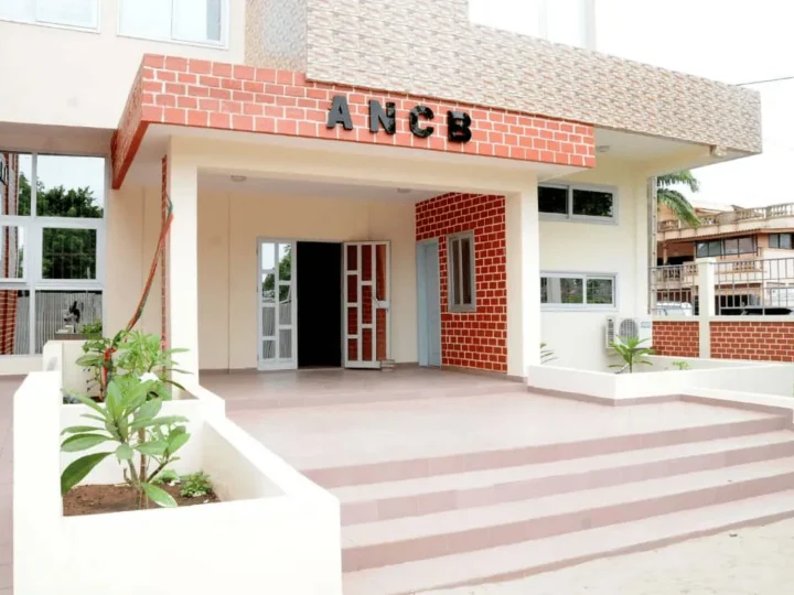 Développement local au Bénin : Le défi des ressources non consommées