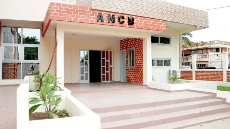 Développement local au Bénin : Le défi des ressources non consommées