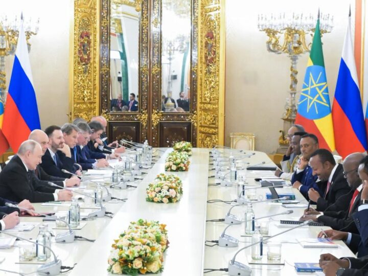 Russie-Éthiopie : les échanges commerciaux dépassent 1,3 milliard de dollars