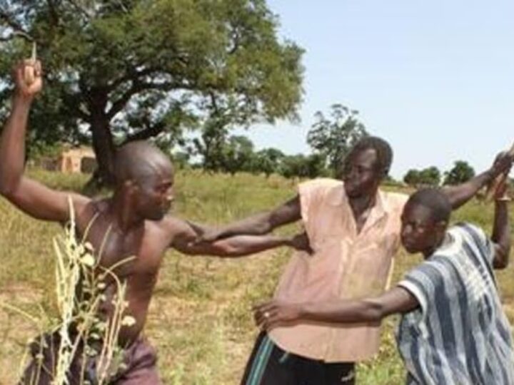 Tchad : Douze morts dans un conflit entre éleveurs et agriculteurs